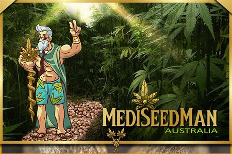 where is mediseed man located in australia